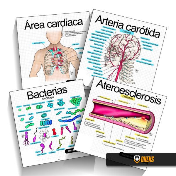 DICCIONARIO MEDICO
